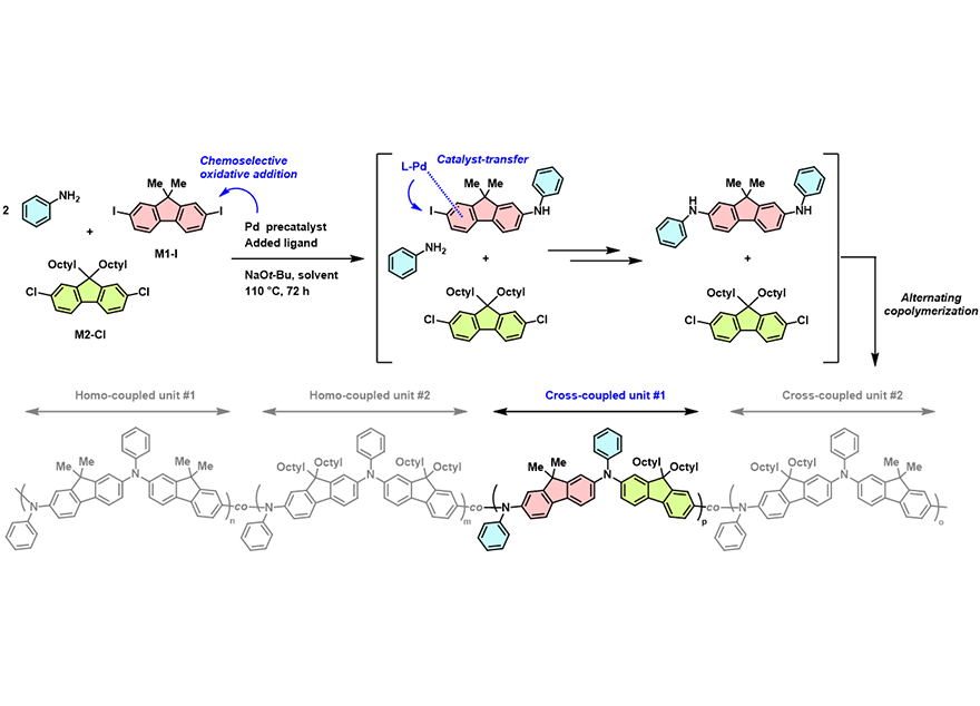 화학과 이인환 교수팀, 반도체성 고분자 구조 설계 新합성법 개발